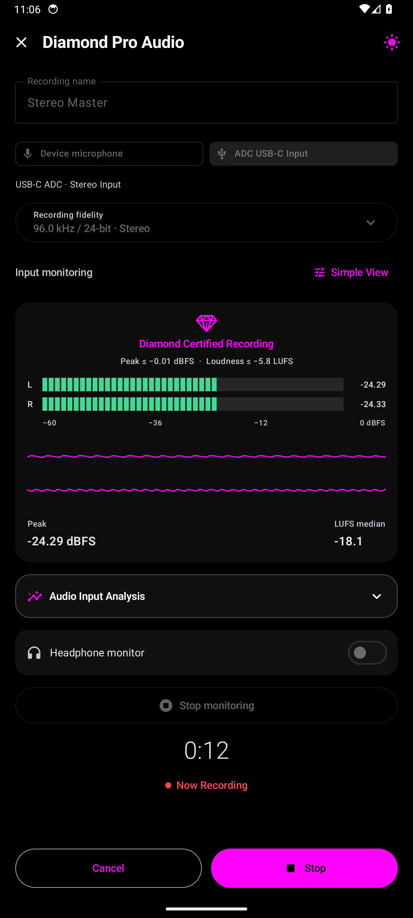 Diamond Player Pro Audio recording with active signal monitoring in dark mode